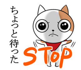 Scarf cat Sola sticker #4442791