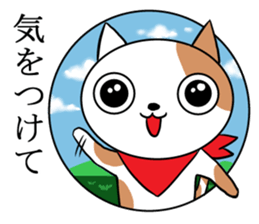 Scarf cat Sola sticker #4442811
