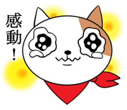 Scarf cat Sola sticker #4442816