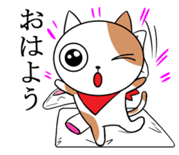 Scarf cat Sola sticker #4442817