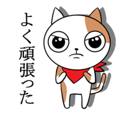 Scarf cat Sola sticker #4442818