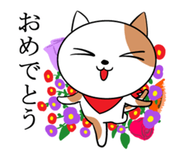 Scarf cat Sola sticker #4442820