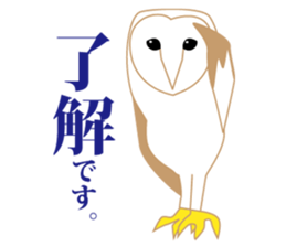 Polite barn owl sticker #4444106