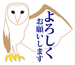 Polite barn owl sticker #4444107