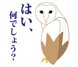 Polite barn owl sticker #4444122