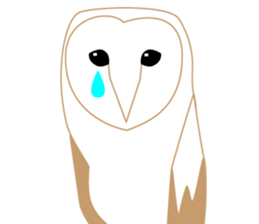 Polite barn owl sticker #4444136