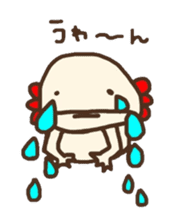 Pee Chan Of Axolotl By Moeki Pee Chan Of Axolotl By Moeki