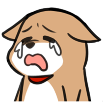 Shiba Inu Chacha sticker #4446475