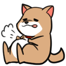 Shiba Inu Chacha sticker #4446494