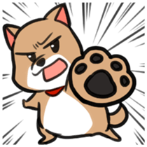 Shiba Inu Chacha sticker #4446497