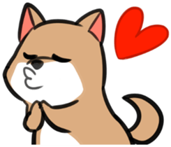 Shiba Inu Chacha sticker #4446498