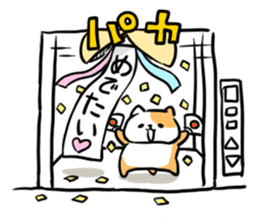 Cat in the Elevator sticker #4449453