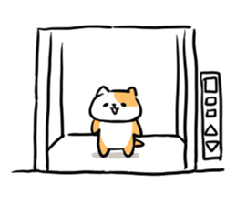 Cat in the Elevator sticker #4449459