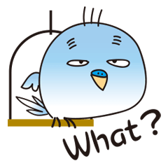 A little annoying budgerigar