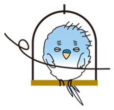 A little annoying budgerigar sticker #4452436