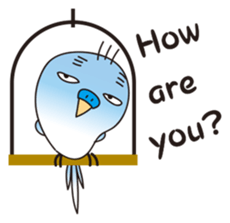 A little annoying budgerigar sticker #4452439