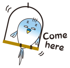 A little annoying budgerigar sticker #4452447