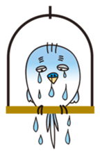 A little annoying budgerigar sticker #4452453