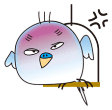 A little annoying budgerigar sticker #4452455