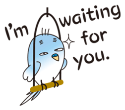 A little annoying budgerigar sticker #4452457