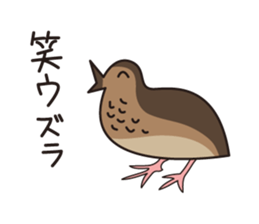 Japanese poor joke (Birds) sticker #4452825