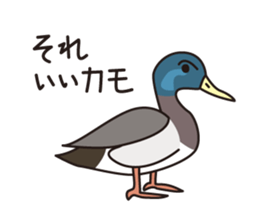 Japanese poor joke (Birds) sticker #4452826