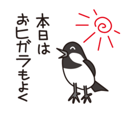 Japanese poor joke (Birds) sticker #4452835