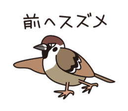 Japanese poor joke (Birds) sticker #4452842
