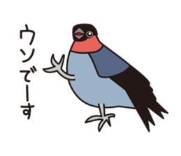 Japanese poor joke (Birds) sticker #4452853