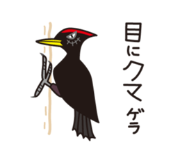 Japanese poor joke (Birds) sticker #4452860