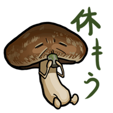 Mashroom Collection sticker #4453226
