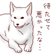 Dog!Dog!!Dog!!! sticker #4453308