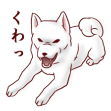 Dog!Dog!!Dog!!! sticker #4453310