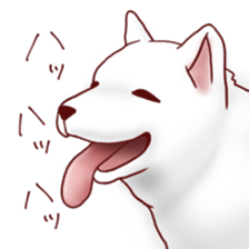 Dog!Dog!!Dog!!! sticker #4453311