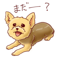 Dog!Dog!!Dog!!! sticker #4453315