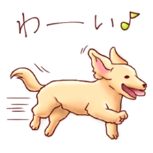 Dog!Dog!!Dog!!! sticker #4453318