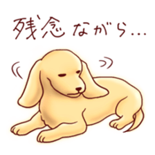 Dog!Dog!!Dog!!! sticker #4453319