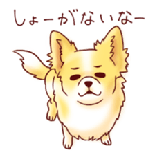 Dog!Dog!!Dog!!! sticker #4453321