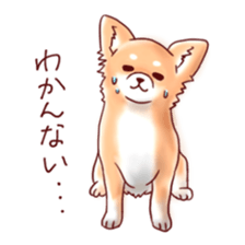 Dog!Dog!!Dog!!! sticker #4453322