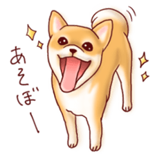 Dog!Dog!!Dog!!! sticker #4453325