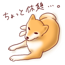 Dog!Dog!!Dog!!! sticker #4453326