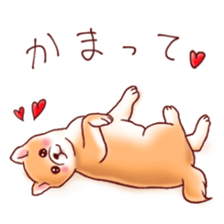 Dog!Dog!!Dog!!! sticker #4453327