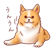 Dog!Dog!!Dog!!! sticker #4453341