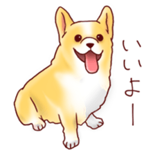 Dog!Dog!!Dog!!! sticker #4453342