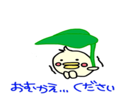 piyopiyo's everyday. sticker #4453761