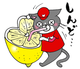 Tweet Cats vol.3 Hiroshima Cat sticker #4453957