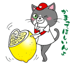 Tweet Cats vol.3 Hiroshima Cat sticker #4453966
