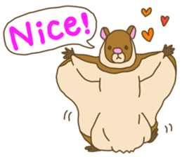 Flying squirrel sticker #4455746