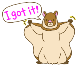 Flying squirrel sticker #4455748