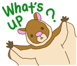 Flying squirrel sticker #4455753